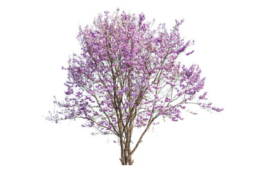 Similar image 11886924