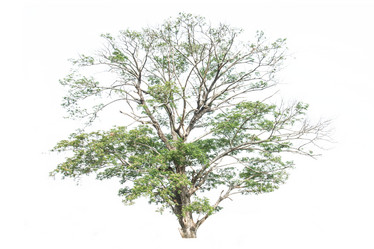 Similar image 11886926