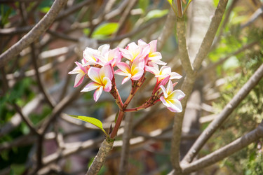 Similar image 11882344