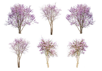 Similar image 11886882