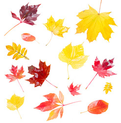 Similar image 11898582