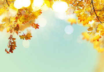 Similar image 11898583