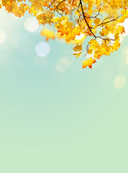 Similar image 11898584