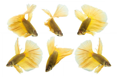 Similar image 11886902