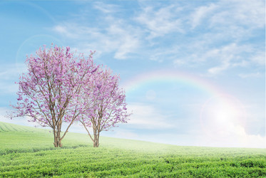 Similar image 11886903