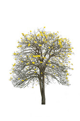 Similar image 11886905