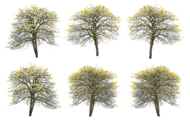 Similar image 11886906