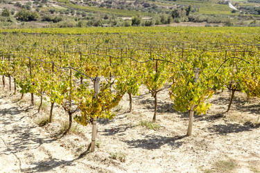 Similar image 11886722