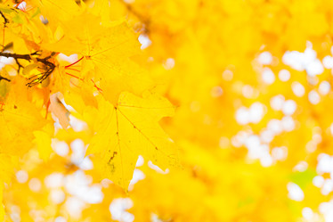 Similar image 11899623