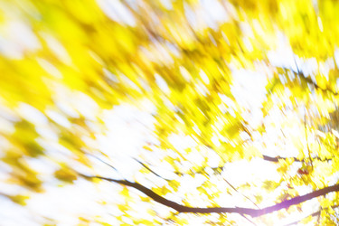 Similar image 11899626