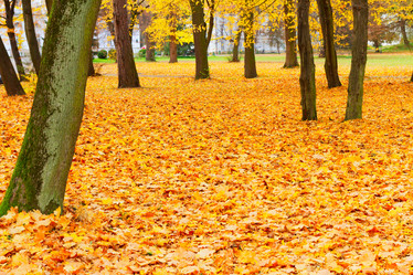 Similar image 11899666