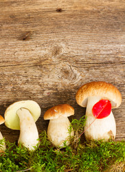 Similar image 11899939