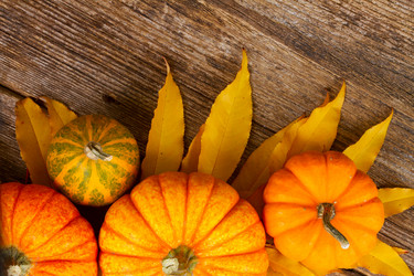 Similar image 11899999