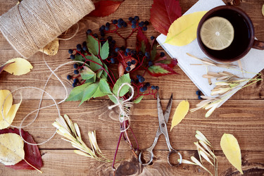 Similar image 11918550