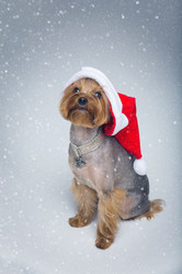 Similar image 11912681