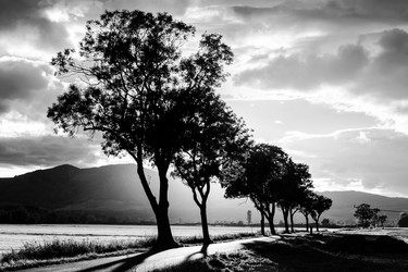 Similar image 11881696