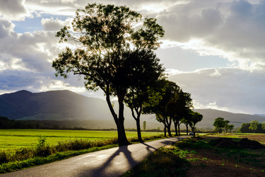 Similar image 11881698