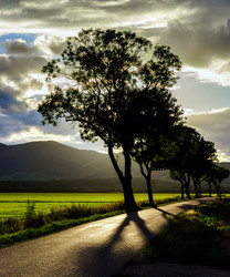 Similar image 11881700