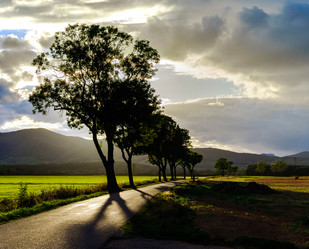 Similar image 11881701