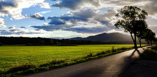 Similar image 11881720