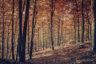 Similar image 11919314