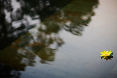 Similar image 11881742