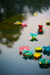 Similar image 11881744