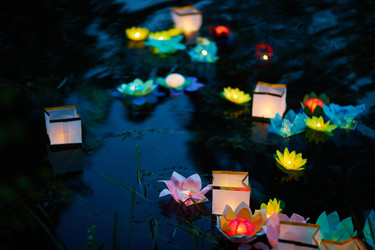 Similar image 11881764