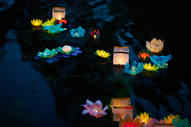 Similar image 11881765