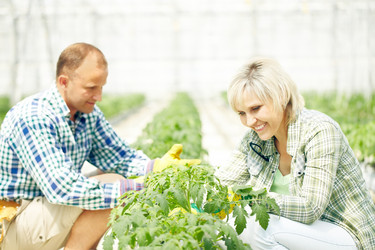 Similar image 11882238