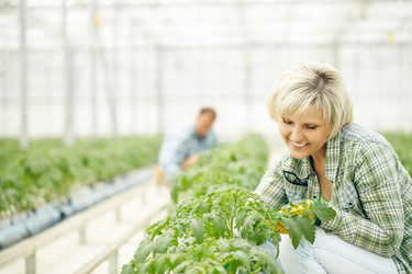 Similar image 11882258