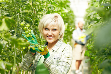 Similar image 11882297