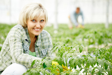 Similar image 11881723