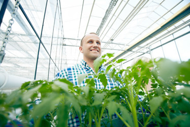 Similar image 11881730