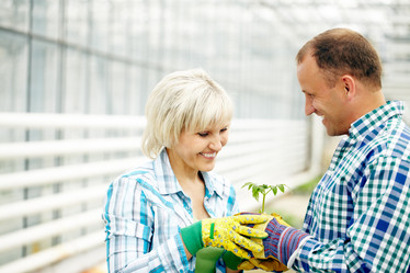 Similar image 11881731