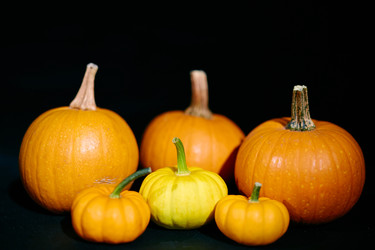 Similar image 11882024