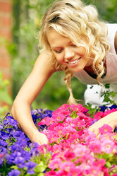 Similar image 11881735