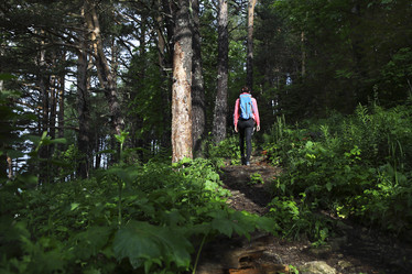 Similar image 11890874