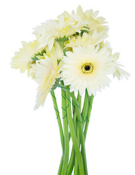 Similar image 11913955