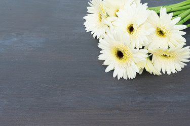 Similar image 11914048