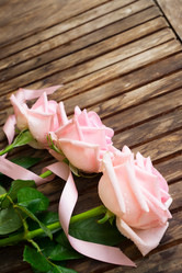 Similar image 11914069