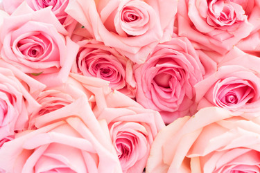 Similar image 11911794