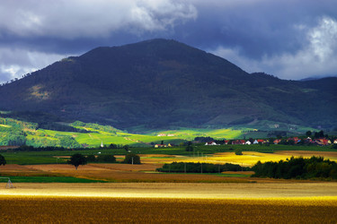 Similar image 11887986