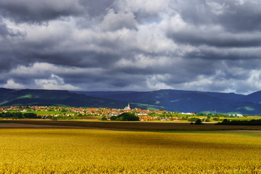 Similar image 11887989