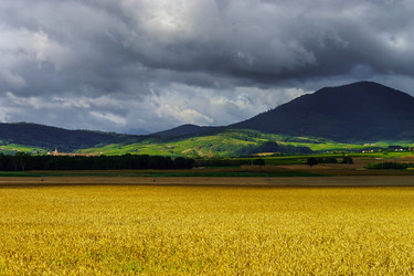 Similar image 11887990