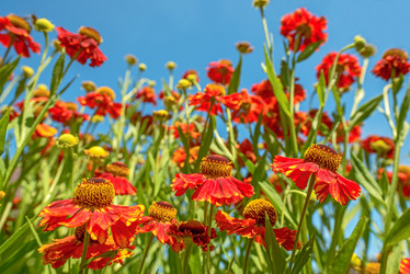 Similar image 11887975