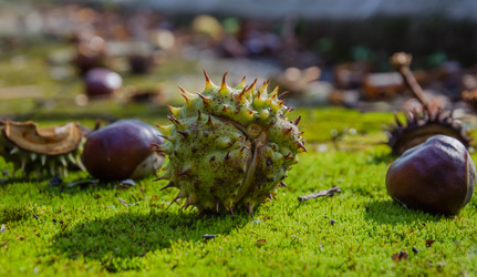 Similar image 11886686