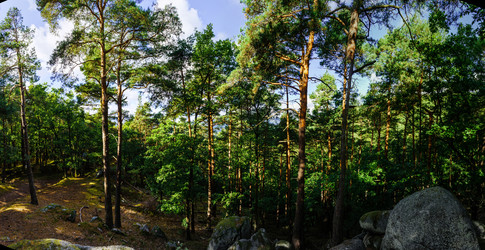 Similar image 11887995