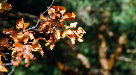 Similar image 11888002