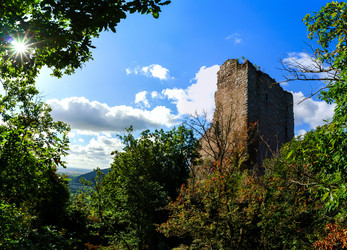 Similar image 11888005